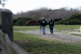 LR-WRF 0402026 Retreat-3051